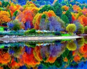 colorful fall