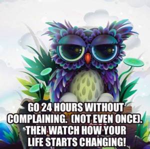 go without complaining