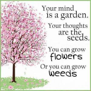 your mind is a garden grow flowers or weeds