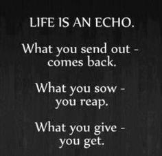 life is an echo
