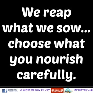 we reap what we sow choose carefully