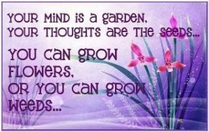 your mind is garden grow flowers or weeds