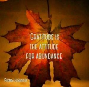 gratitude is the attitude for abundance