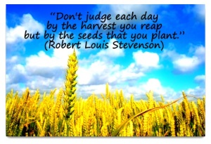 dont-judge-each-day-by-the-harvest-you-reap-but-by-the-seeds-that-you-plant-8