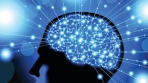 blue brain neuroplasticity