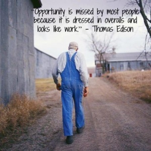 opportunity is missed by most - edison