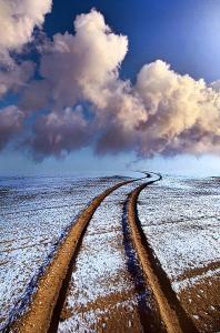 horizons frosty tracks