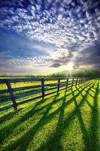 horizons - fence blue sky