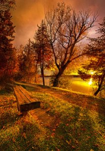 horizon autumn bench come-home-phil-koch