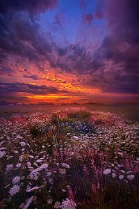 horizons floating-along-the-edge-of-dawn-phil-koch