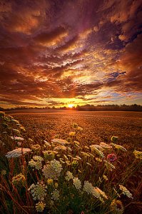 horizons the-goodness-of-the-lord-phil-koch