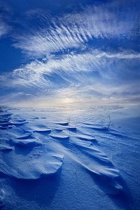 horizons winter-born-phil-koch