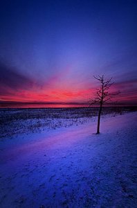 horizons an-audience-of-one-phil-koch