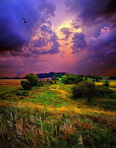 horizons-secluded-dream-phil-koch